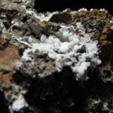 Fluorapatito (variedad carbonatofluorapatito)  y Calcioferrita.
10 x 9 x 5 cm.
(Autor: Carles Rubio)