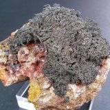 Plata
6 x 6 cm.
(Autor: Juan Cabezas)