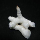 Calcita
3 x 3 x 2 cm
(Autor: Carles Rubio)