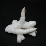 Calcita
3 x 3 x 2 cm
(Autor: Carles Rubio)