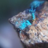 Lavendulana
2 x 2 cm
(Autor: Alvaro2121)