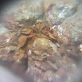 Siderita
2 cm
(Autor: Alvaro2121)