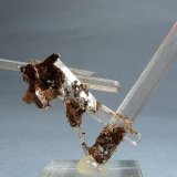 Yeso
5 x 3 cm.
(Autor: Juan Cabezas)