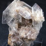 Celestina
2.5 x 2 cm.
(Autor: Juan Cabezas)
