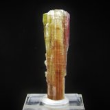 Elbaita
6.8 x 2 cm
(Autor: Diego Navarro)
