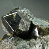Granate
9 x 7.5 cm
(Autor: Diego Navarro)