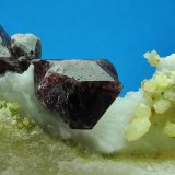 Espinela, Forsterita
Cristal mayor de 1.5 cm
(Autor: Diego Navarro)