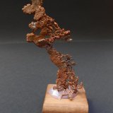 (Autor: Antonio Alcaide)