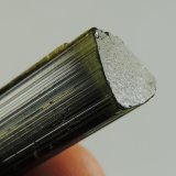 Turmalina
3 x 1 x 1 centimetros
(Autor: Ricardo Melendez)