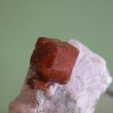 Spessartina (Espesartina) sobre Fluorita
1,2x0.9x1 cm (cristal)
(Autor: Ignacio Tepman)