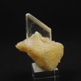 Yeso
3.4 x 3 x 3 centimetros
(Autor: Ricardo Melendez)