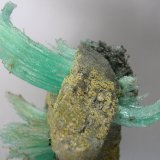Epsomita
10 x 7,5 cm
(Autor: Pedro Conesa)