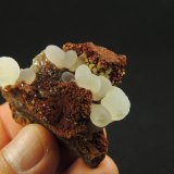 Adamita
3.7 x 3.2 x 2.6 centimetros
(Autor: Ricardo Melendez)