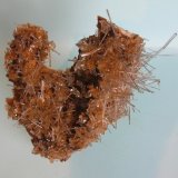 Yeso
15 x 11 cm
(Autor: Pedro Conesa)