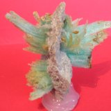 Epsomita
7 x 6 cm
(Autor: Pedro Conesa)