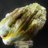 (Autor: Diego Navarro)