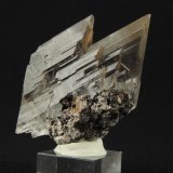 Yeso (variedad selenita)
5.5 x 4 x 2.4 centimetros
(Autor: Ricardo Melendez)