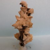 Baritina
9 x 8,5 cm
(Autor: Pedro Conesa)