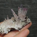 Cuarzo (variedad amatista)
7.5 x 5.2 x 3.3 centimetros
(Autor: Ricardo Melendez)