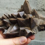 Calcita
14 x 9 x 4.5 centimetros
(Autor: Ricardo Melendez)