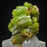 Piromorfita
3.7 x 2.8 cm
(Autor: Diego Navarro)
