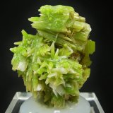 Piromorfita, Cerusita
4.4 x 3.5 cm
(Autor: Diego Navarro)