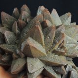 Calcita
11 x 10 x 5.5 centimetros
(Autor: Ricardo Melendez)