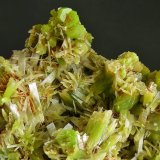 Piromorfita, Cerusita
(Autor: Diego Navarro)