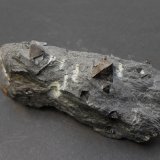 Magnetita
11 x 4 x 3,5 cm
(Autor: Antonio Alcaide)