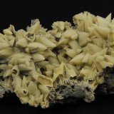 Smithsonita pseudo Calcita
9 x 4.5 x 4 centimetros
(Autor: Ricardo Melendez)