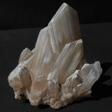 Yeso
12,5 x 12 x 6 cm
(Autor: Antonio Alcaide)