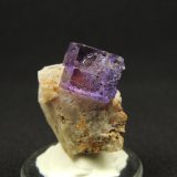 Fluorita, Barita
2.5 x 2 x 2.5 centimetros
(Autor: Ricardo Melendez)
