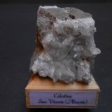 Celestina
4 x 4 x 3,5 cm
(Autor: Antonio Alcaide)