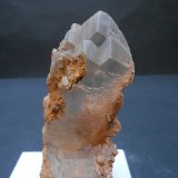 Yeso
9 x 4,5 x 3,5 cm
(Autor: Antonio Alcaide)