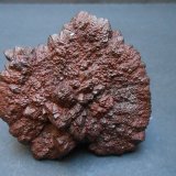 Goethita pseudomórfica de Marcasita
7 x 6 x 4 cm
(Autor: Antonio Alcaide)