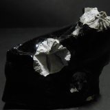 Cristobalita
7,5 x 7 x 3,5 cm
(Autor: Antonio Alcaide)