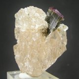 Elbaita, Topacio
5.3 x 4 cm
(Autor: Diego Navarro)