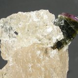 Elbaita, Topacio
5.3 x 4 cm
(Autor: Diego Navarro)