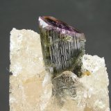 Elbaita, Topacio
5.3 x 4 cm
(Autor: Diego Navarro)