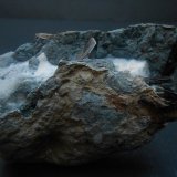 Neptunita
9 x 6 x 2,5 cm
(Autor: Antonio Alcaide)