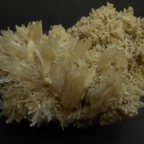 Yeso
12 x 8 x 8 cm
(Autor: Antonio Alcaide)