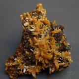Wulfenita y Mimetita
7 x 7 x 4 cm
(Autor: Antonio Alcaide)