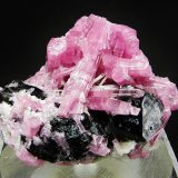 Elbaita (variedad rubelita)
4.6 x 3.5 cm
(Autor: Diego Navarro)