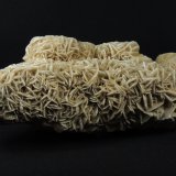 Yeso
19.3 x 8 x 6 centimetros
(Autor: Ricardo Melendez)