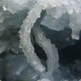 Celestina
12 x 9 cm
(Autor: Diego Navarro)