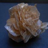 Yeso
8 x 8 x 6 cm
(Autor: Antonio Alcaide)