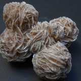 Yeso
8 x 6 x 4 cm
(Autor: Antonio Alcaide)