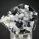 Esfalerita + Cuarzo
8 x 5.7 cm
(Autor: Diego Navarro)