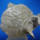 Calcita
20 x 19 cm
(Autor: Diego Navarro)