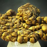 limonita
13 x 9 cm
(Autor: Diego Navarro)